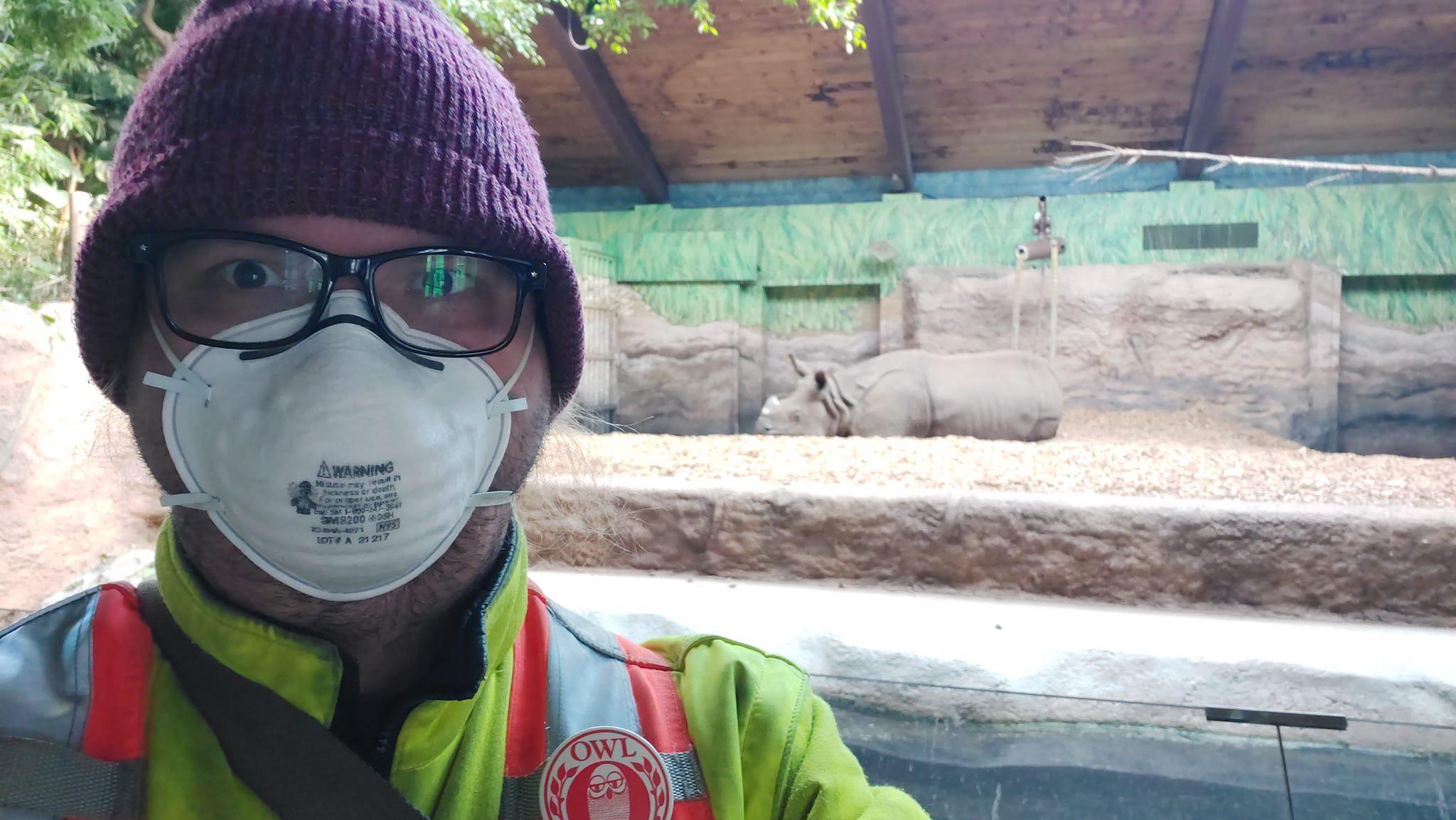 A man wearing a red toque, a high visibility winter coat and an N95 mask stands in front of rhinoceros in an indoor enclosure